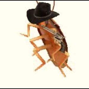 Meet your Posher, ✨mia